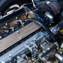 _DSC4361_original