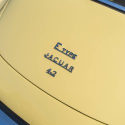 _DSC4375_original