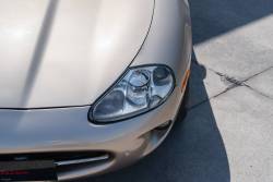 _DSC1275_original