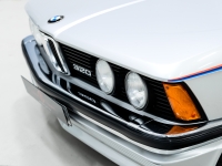 1982 BMW 320/6 1/500 PROCAR EDITION